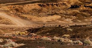 范志毅质疑国足阵型